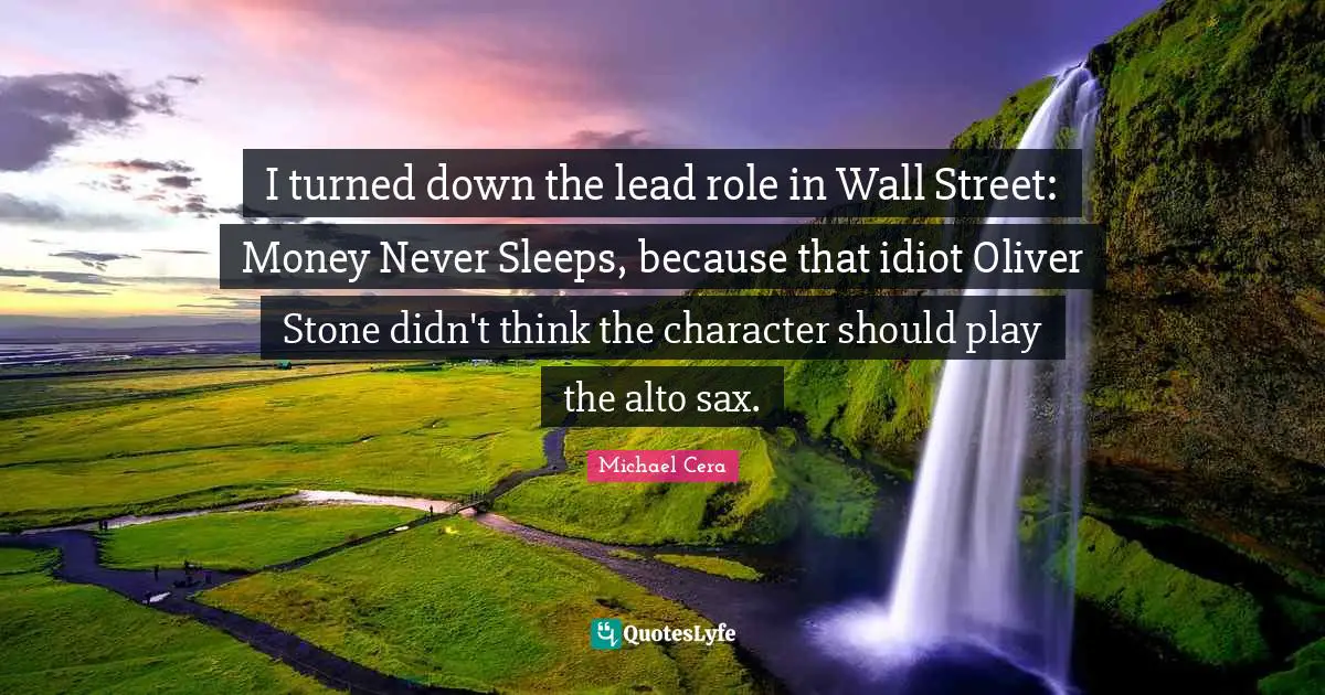 I turned down the lead role in Wall Street: Money Never Sleeps, because that idiot Oliver Stone didn't think the character should play the alto sax.