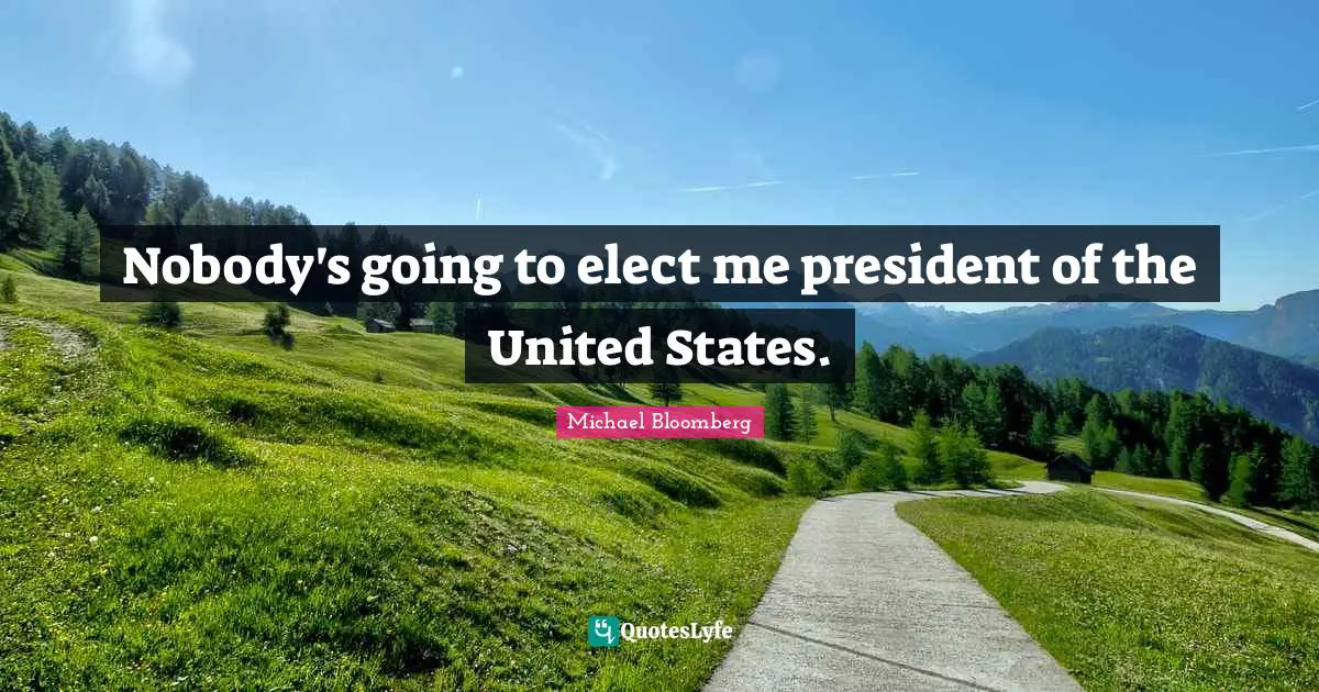 Nobody's going to elect me president of the United States.