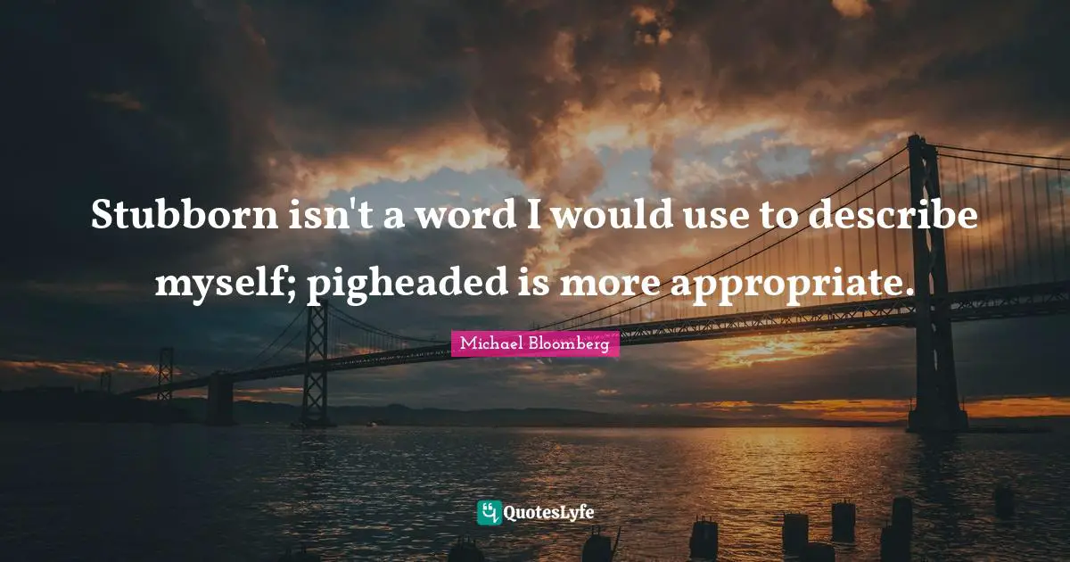 Stubborn isn't a word I would use to describe myself; pigheaded is more appropriate.