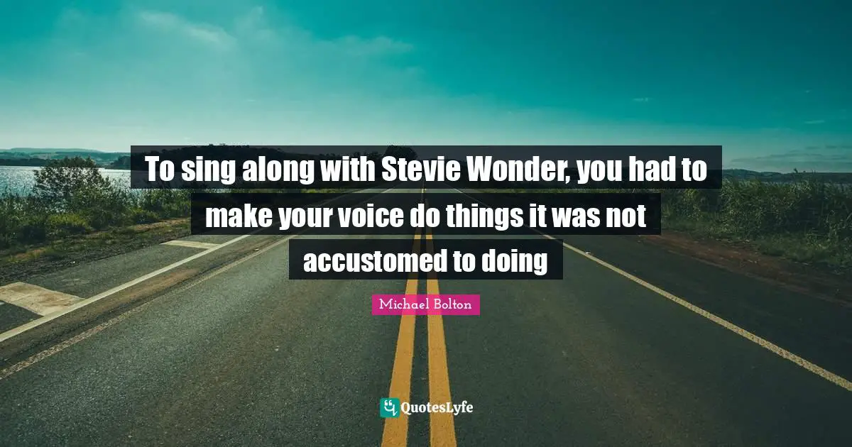 To sing along with Stevie Wonder, you had to make your voice do things it was not accustomed to doing