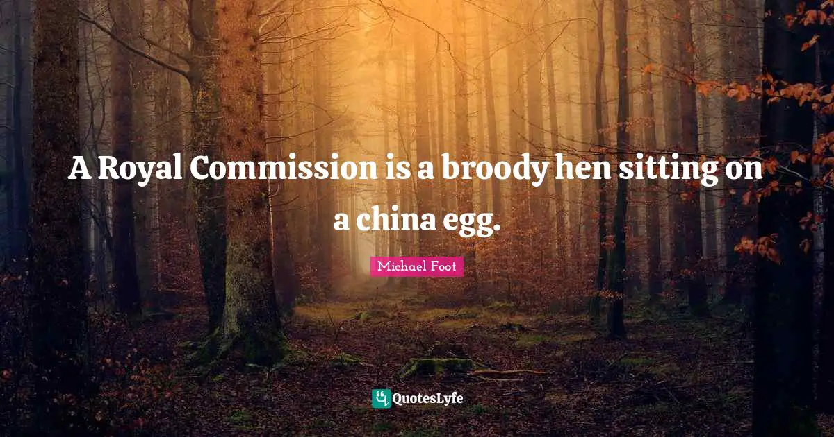 A Royal Commission is a broody hen sitting on a china egg.