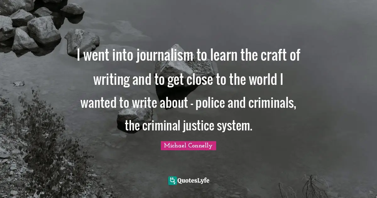 I went into journalism to learn the craft of writing and to get close to the world I wanted to write about - police and criminals, the criminal justice system.