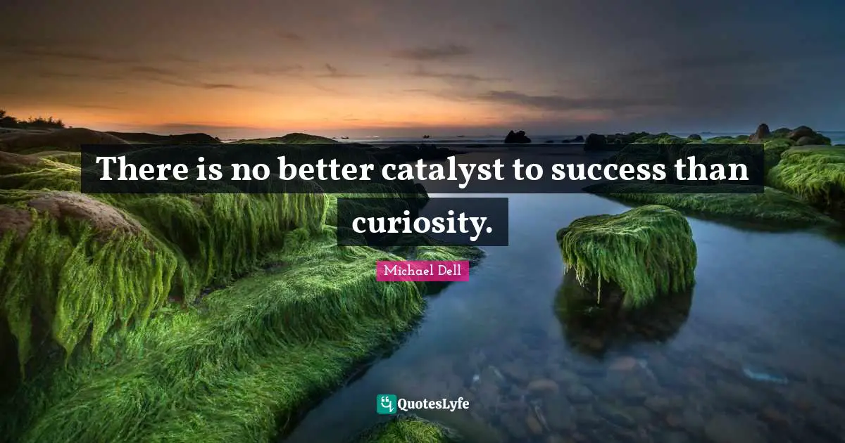 Michael Dell Quotes: "There is no better catalyst to success than curiosity."
