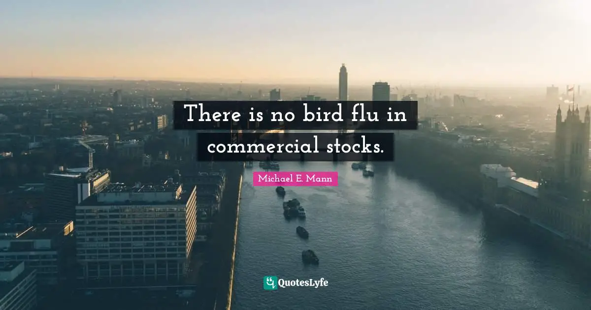 There is no bird flu in commercial stocks.