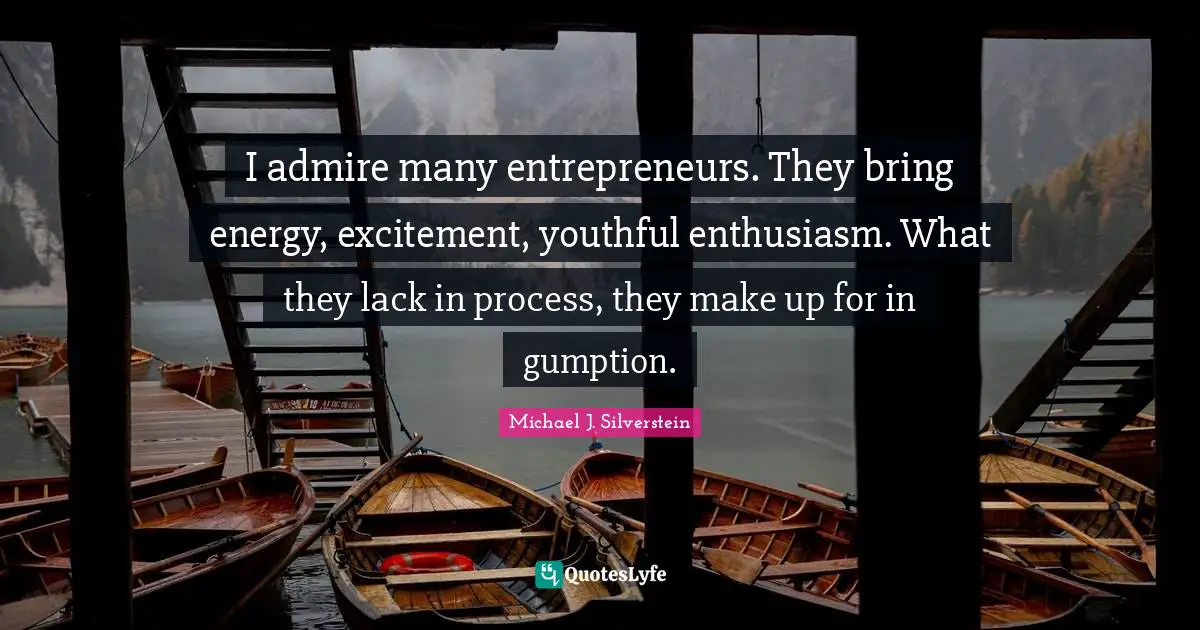 I admire many entrepreneurs. They bring energy, excitement, youthful enthusiasm. What they lack in process, they make up for in gumption.