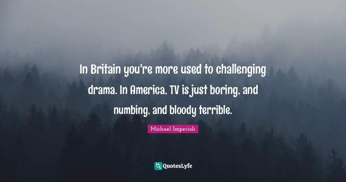 In Britain you're more used to challenging drama. In America, TV is just boring, and numbing, and bloody terrible.