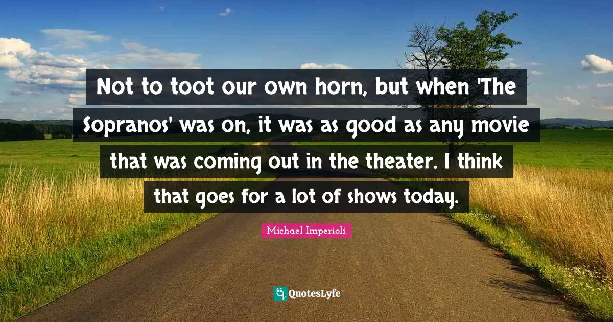 Not to toot our own horn, but when 'The Sopranos' was on, it was as good as any movie that was coming out in the theater. I think that goes for a lot of shows today.