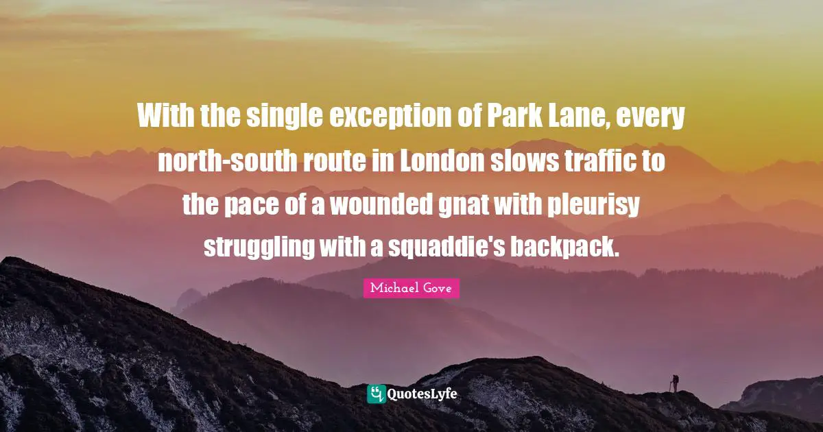 Gnats Quotes: "With the single exception of Park Lane, every north-south route in London slows traffic to the pace of a wounded gnat with pleurisy struggling with a squaddie's backpack."