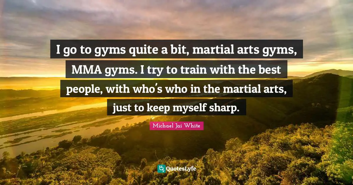 I go to gyms quite a bit, martial arts gyms, MMA gyms. I try to train with the best people, with who's who in the martial arts, just to keep myself sharp.
