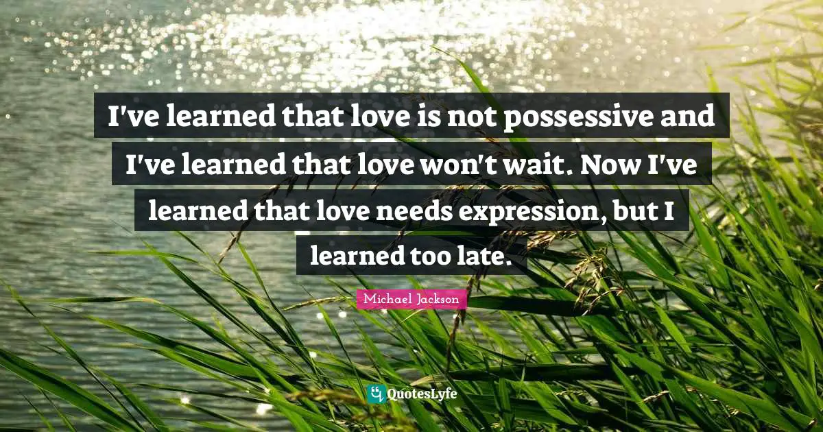 I've learned that love is not possessive and I've learned that love won't wait. Now I've learned that love needs expression, but I learned too late.