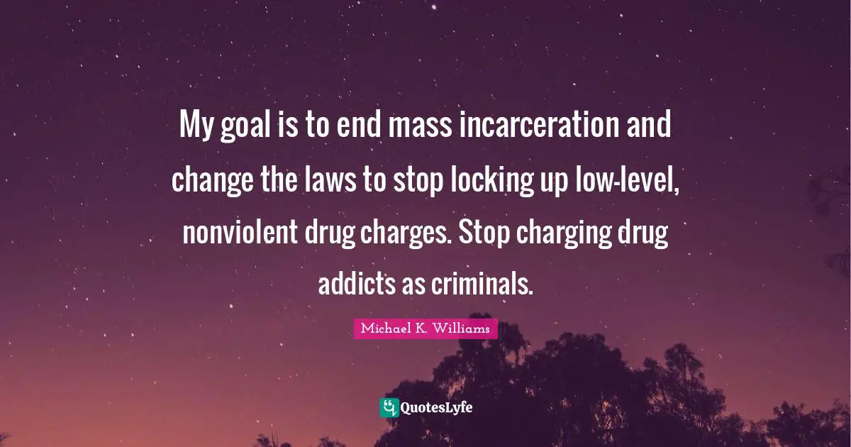 My goal is to end mass incarceration and change the laws to stop locking up low-level, nonviolent drug charges. Stop charging drug addicts as criminals.