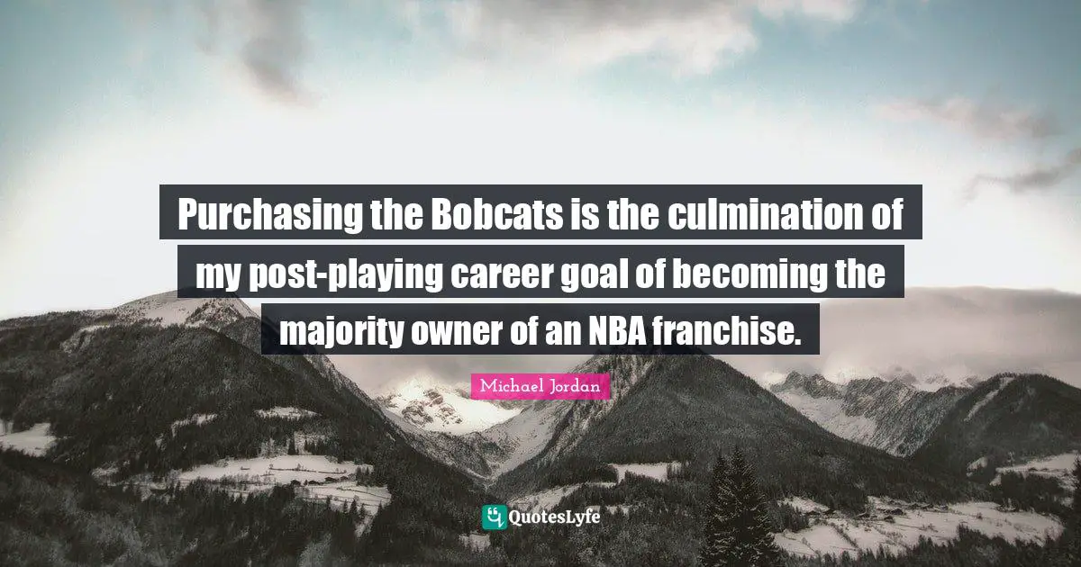 Purchasing the Bobcats is the culmination of my post-playing career goal of becoming the majority owner of an NBA franchise.