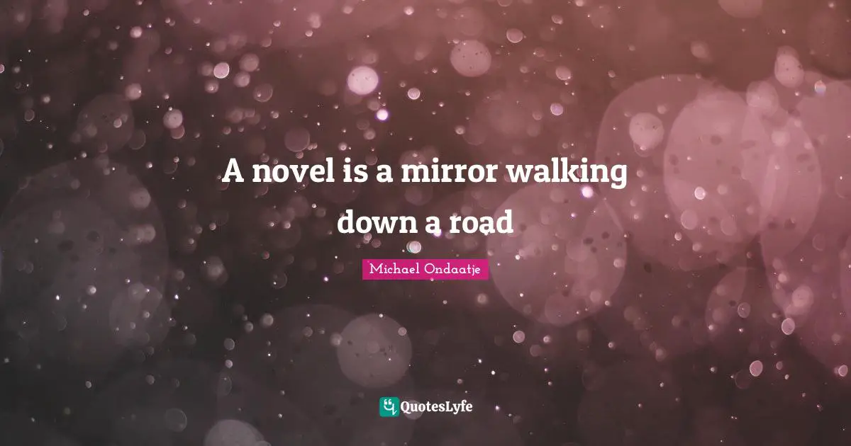 A novel is a mirror walking down a road