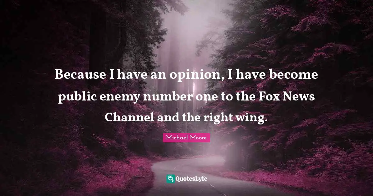Because I have an opinion, I have become public enemy number one to the Fox News Channel and the right wing.