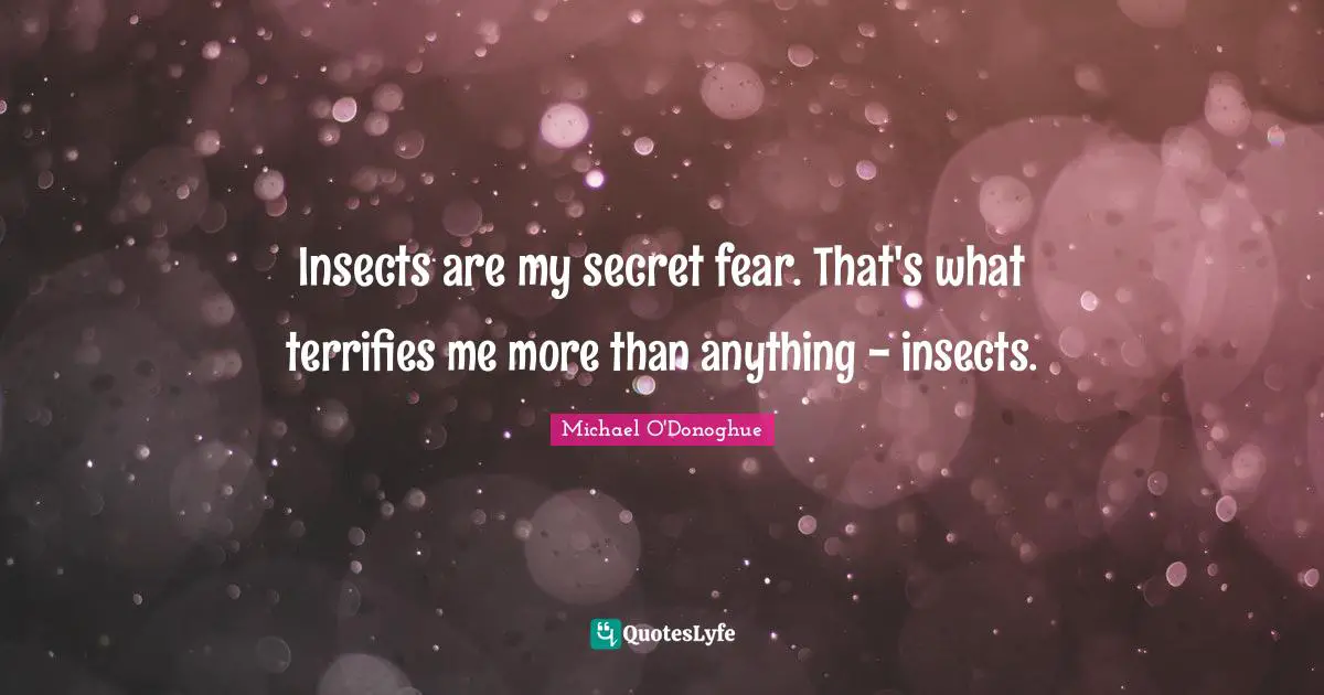 Insects are my secret fear. That's what terrifies me more than anything - insects.