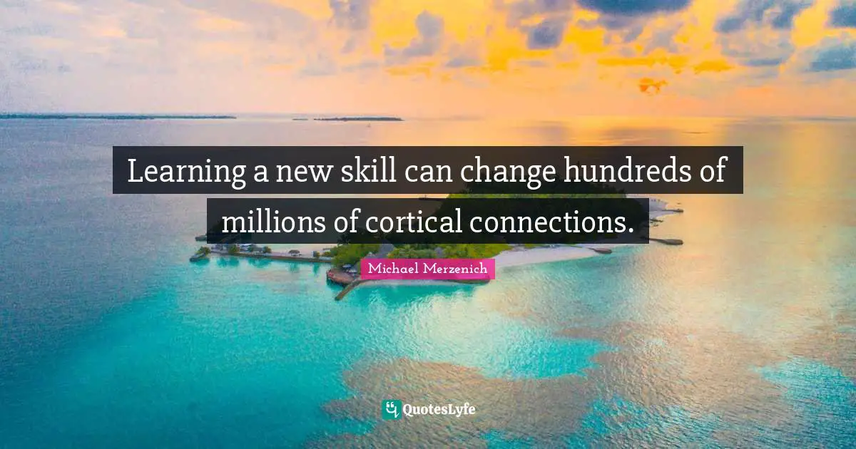 Learning a new skill can change hundreds of millions of cortical connections.