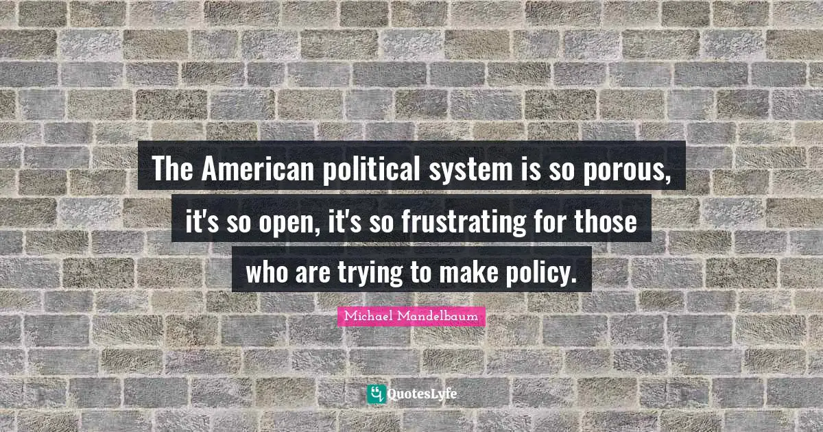 The American political system is so porous, it's so open, it's so frustrating for those who are trying to make policy.