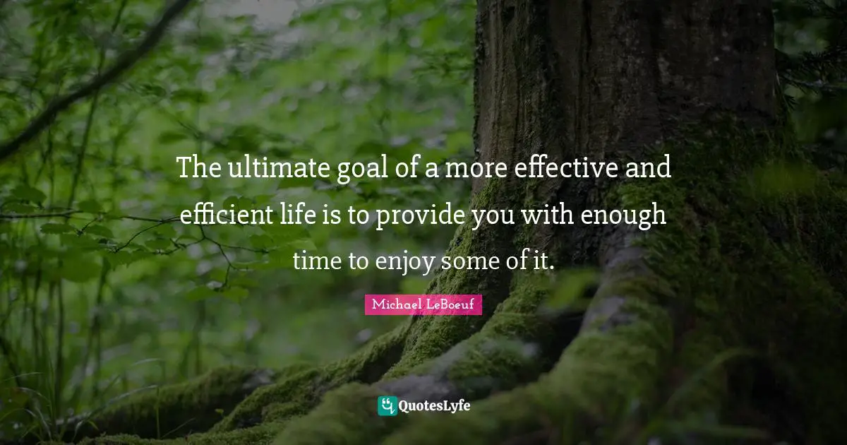 The ultimate goal of a more effective and efficient life is to provide you with enough time to enjoy some of it.