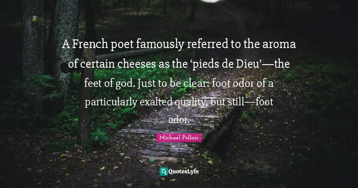 A French poet famously referred to the aroma of certain cheeses as the ‘pieds de Dieu’—the feet of god. Just to be clear: foot odor of a particularly exalted quality, but still—foot odor.