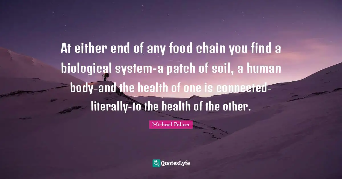 At either end of any food chain you find a biological system-a patch of soil, a human body-and the health of one is connected-literally-to the health of the other.
