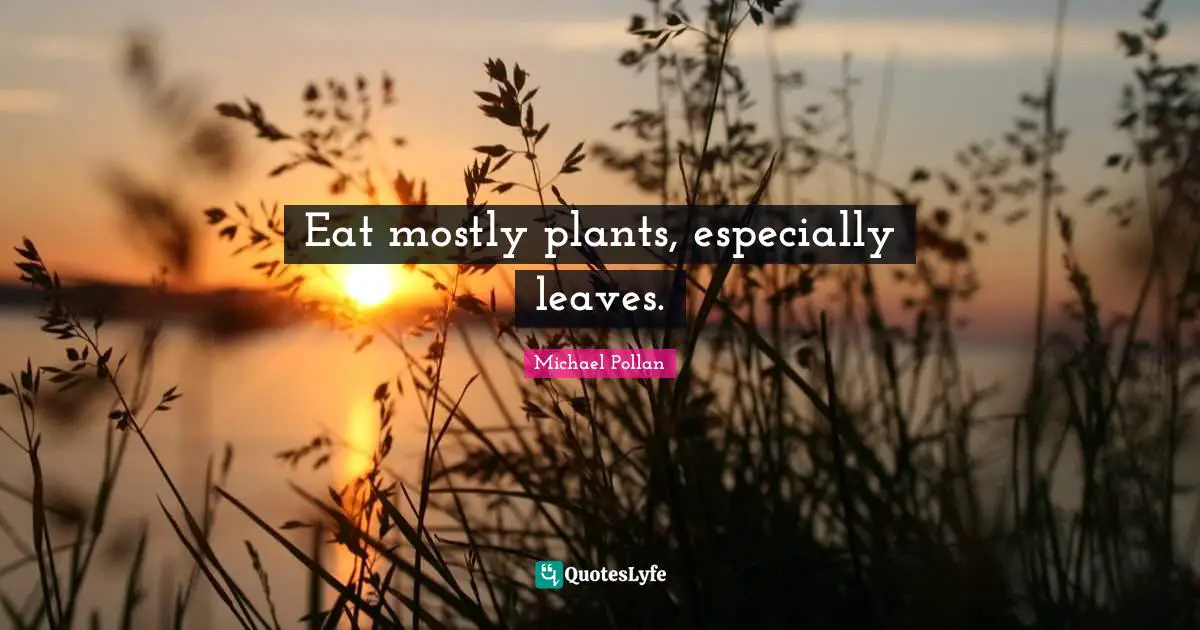 Eat mostly plants, especially leaves.