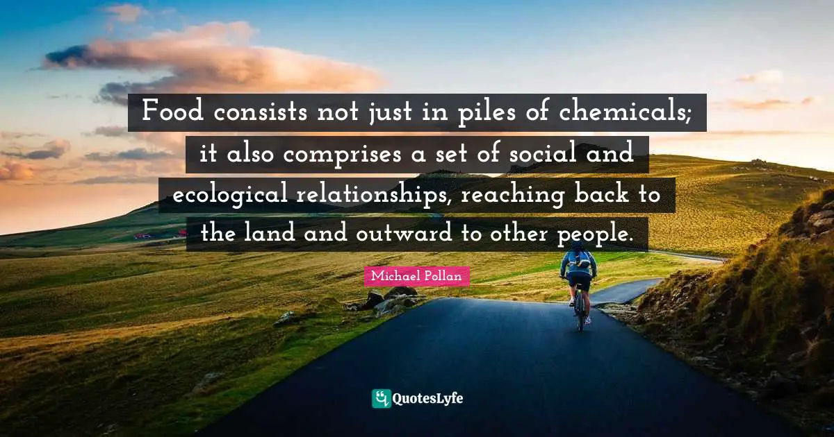 Food consists not just in piles of chemicals; it also comprises a set of social and ecological relationships, reaching back to the land and outward to other people.