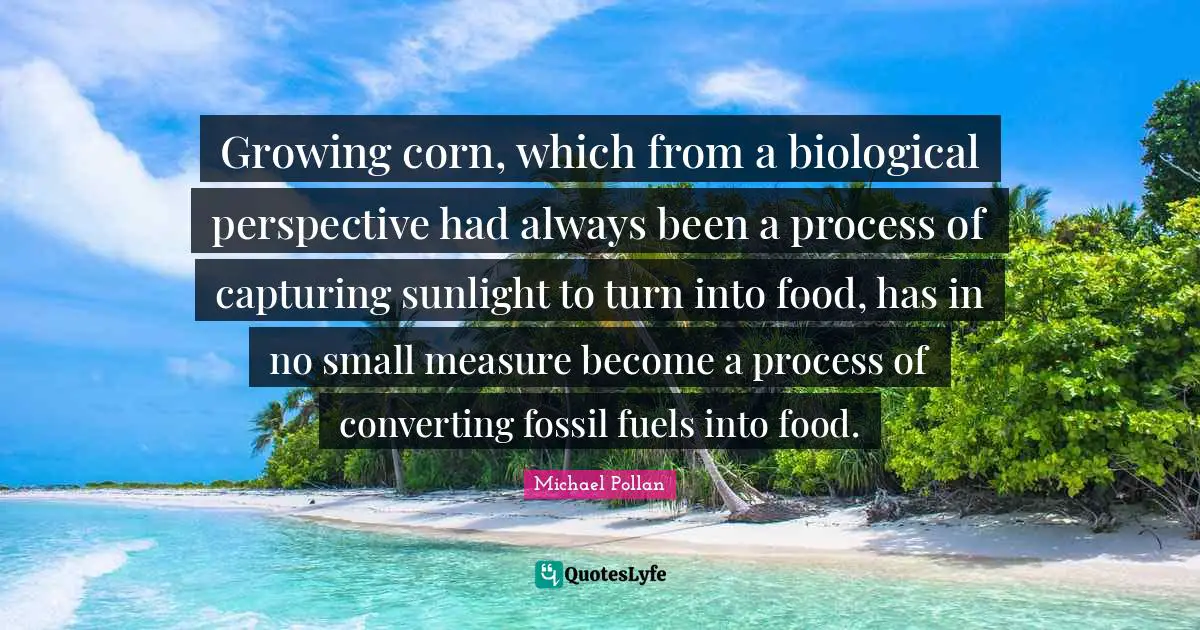 Converting Quotes: "Growing corn, which from a biological perspective had always been a process of capturing sunlight to turn into food, has in no small measure become a process of converting fossil fuels into food."