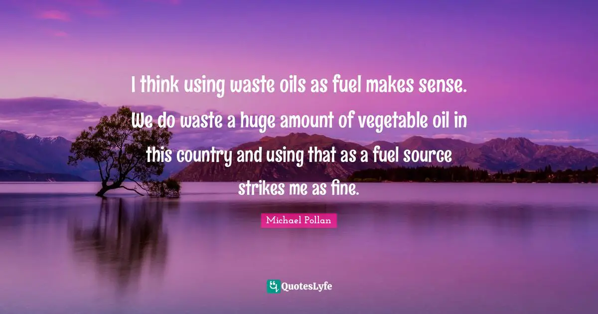 I think using waste oils as fuel makes sense. We do waste a huge amount of vegetable oil in this country and using that as a fuel source strikes me as fine.