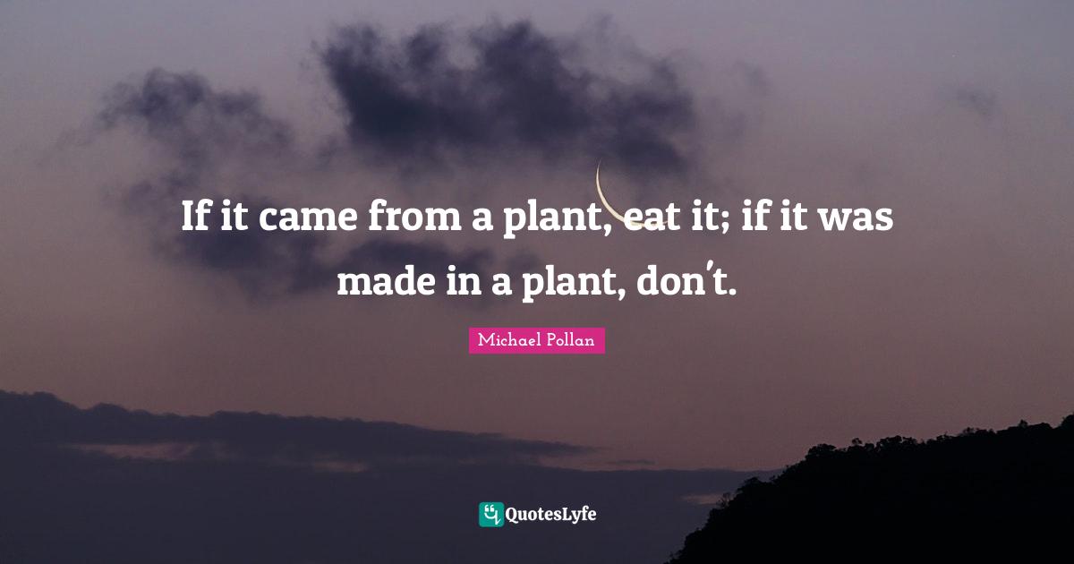If it came from a plant, eat it; if it was made in a plant, don't.