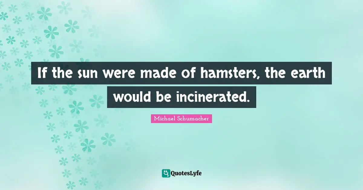 If the sun were made of hamsters, the earth would be incinerated.