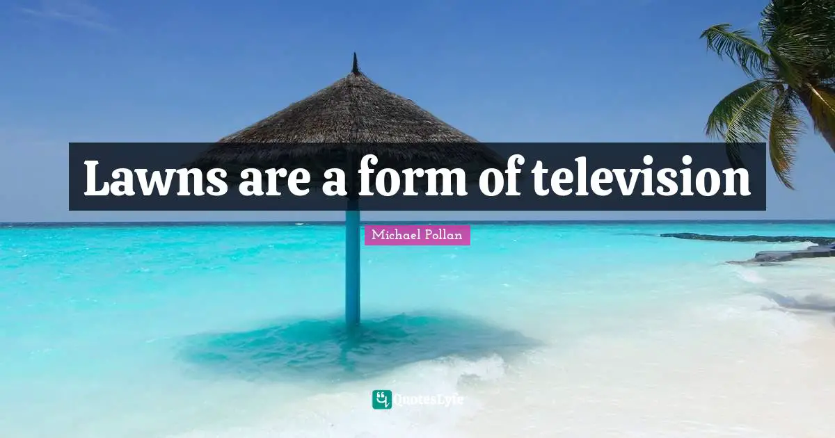 Lawns are a form of television