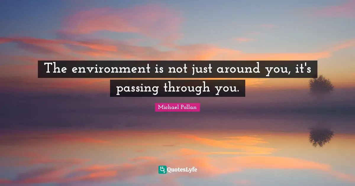 The environment is not just around you, it's passing through you.
