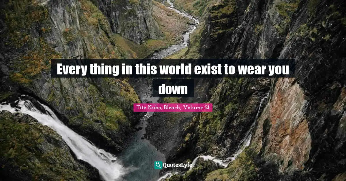 Bleach Quotes: "Every thing in this world exist to wear you down"