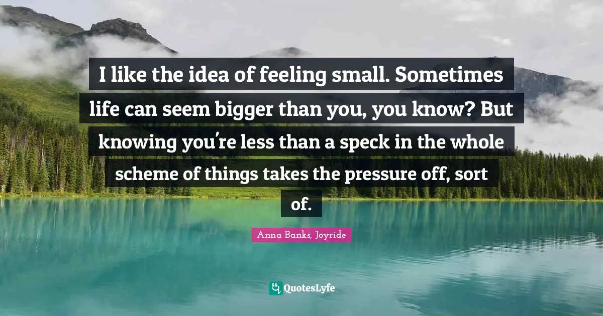 I like the idea of feeling small. Sometimes life can seem bigger than you, you know? But knowing you're less than a speck in the whole scheme of things takes the pressure off, sort of.