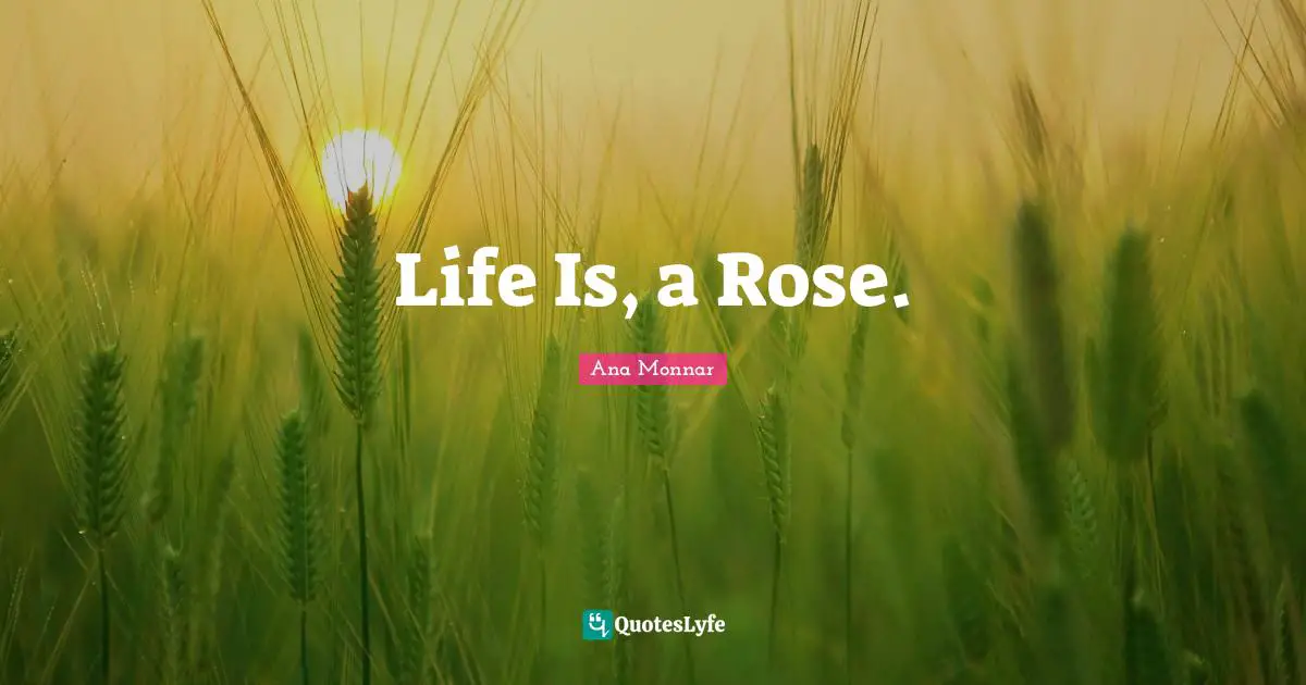 Life Is, a Rose.