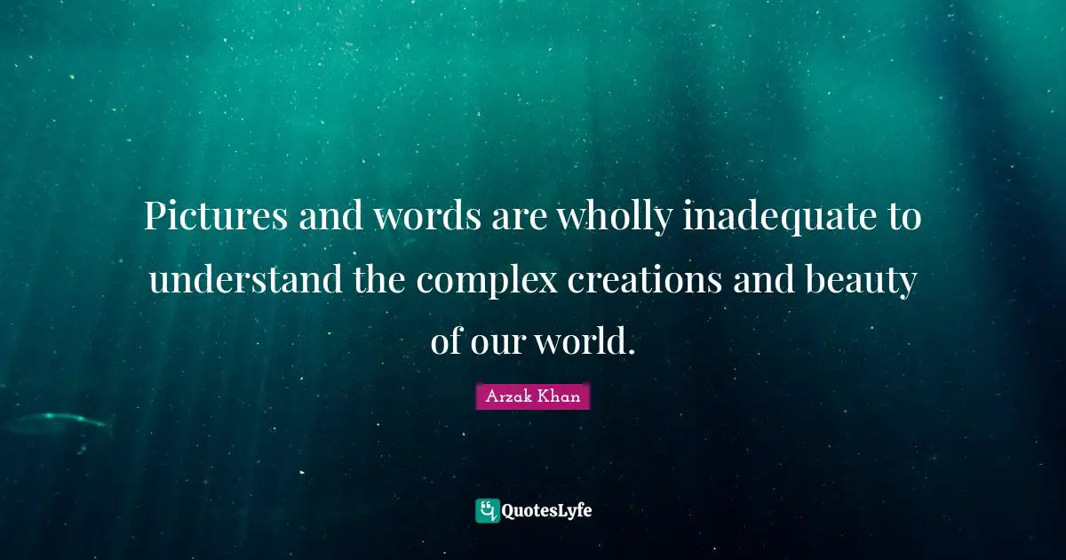 Pictures and words are wholly inadequate to understand the complex creations and beauty of our world.