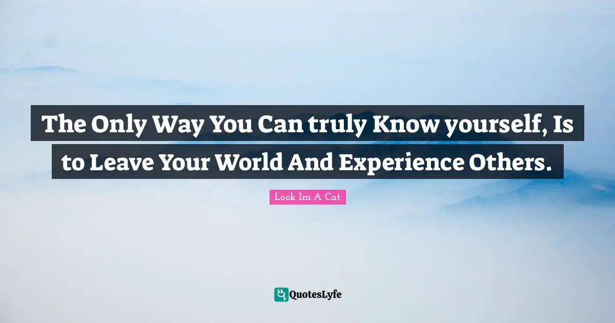 The Only Way You Can truly Know yourself, Is to Leave Your World And Experience Others.