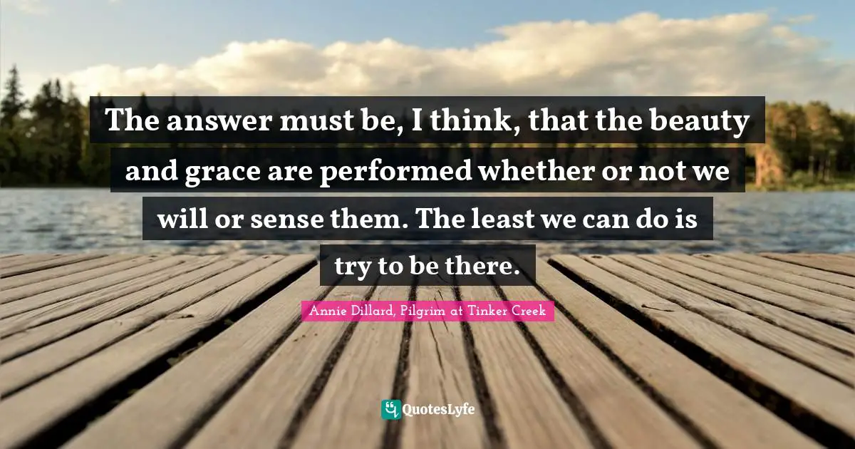 The answer must be, I think, that the beauty and grace are performed whether or not we will or sense them. The least we can do is try to be there.