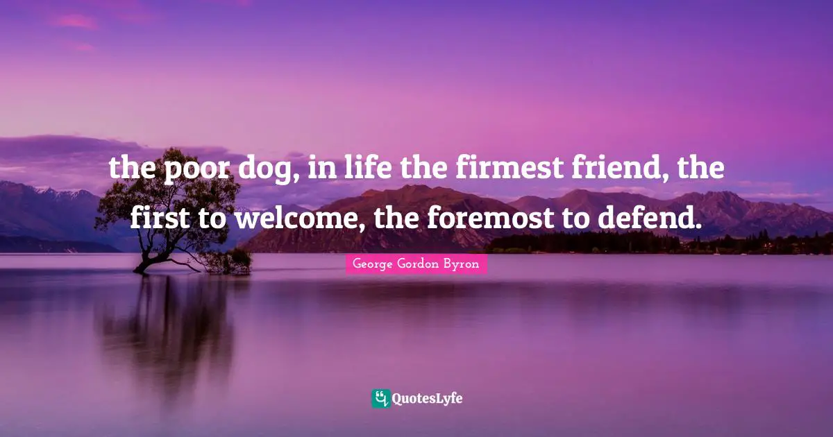 the poor dog, in life the firmest friend, the first to welcome, the foremost to defend.