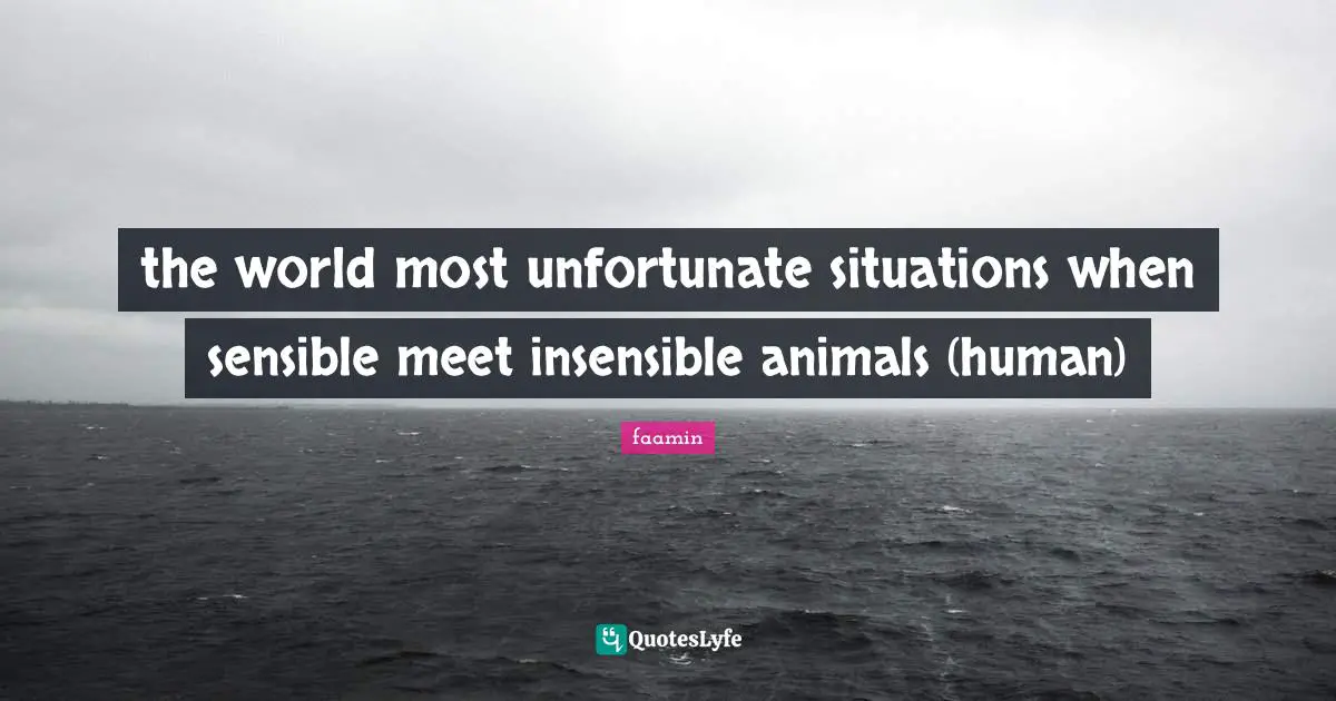 the world most unfortunate situations when sensible meet insensible animals (human)