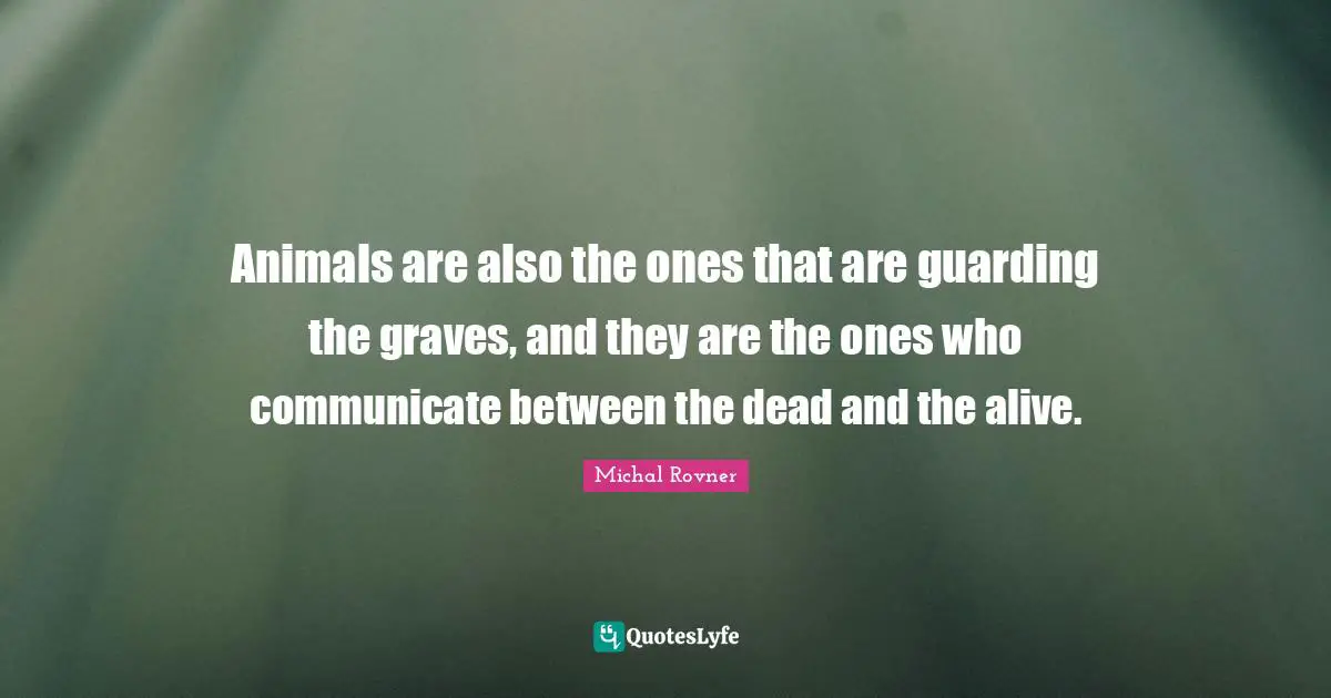 Guarding Quotes: "Animals are also the ones that are guarding the graves, and they are the ones who communicate between the dead and the alive."