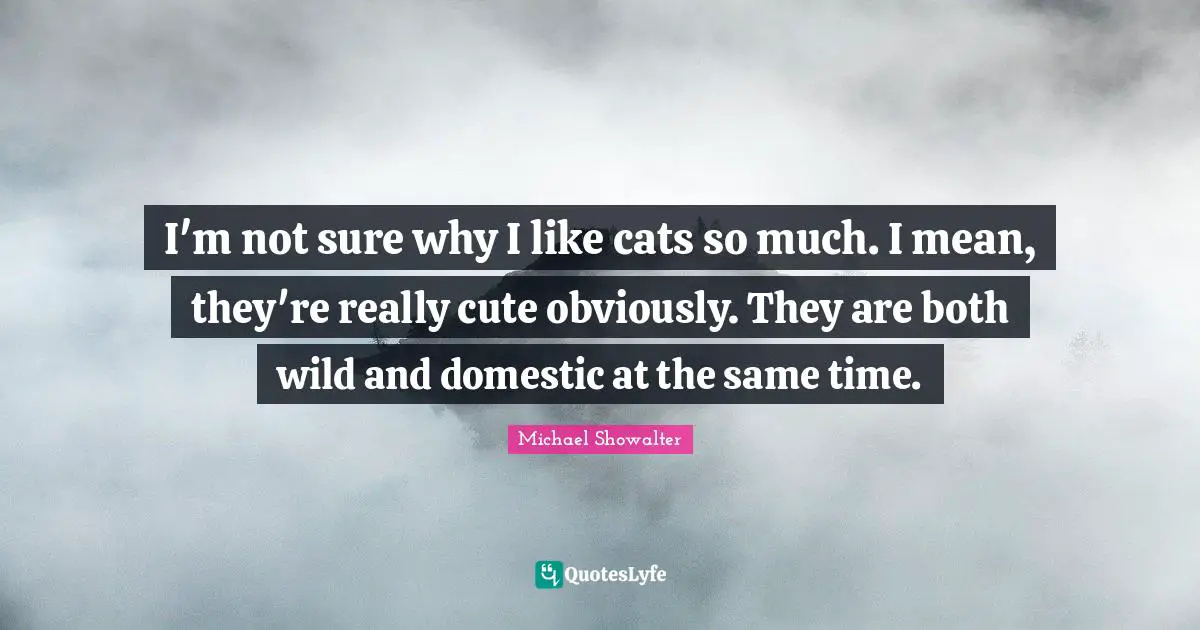 I'm not sure why I like cats so much. I mean, they're really cute obviously. They are both wild and domestic at the same time.