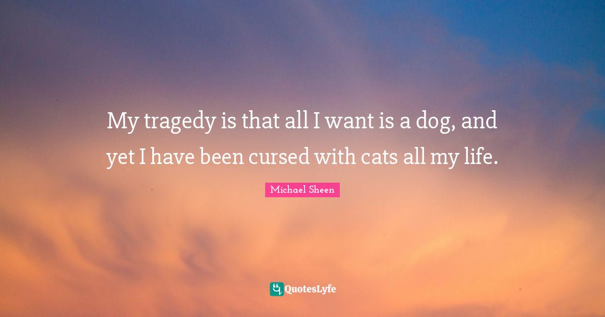 My tragedy is that all I want is a dog, and yet I have been cursed with cats all my life.