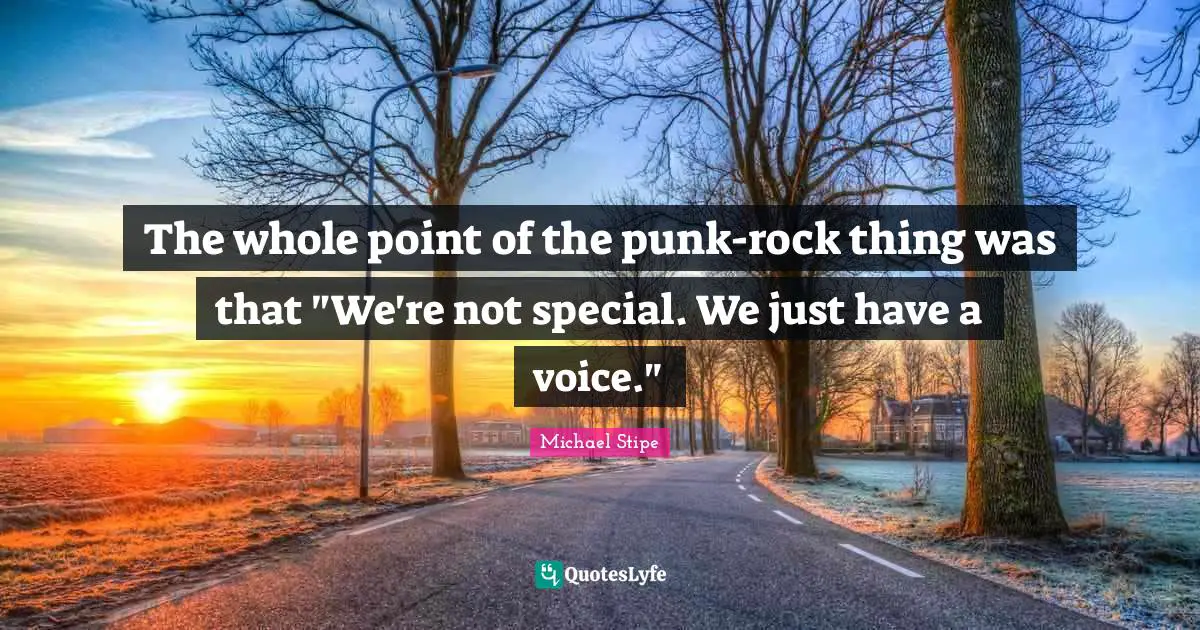 The whole point of the punk-rock thing was that "We're not special. We just have a voice."