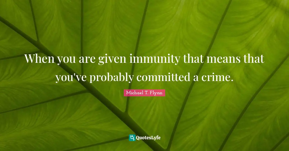 Michael T. Flynn Quotes: "When you are given immunity that means that you've probably committed a crime."
