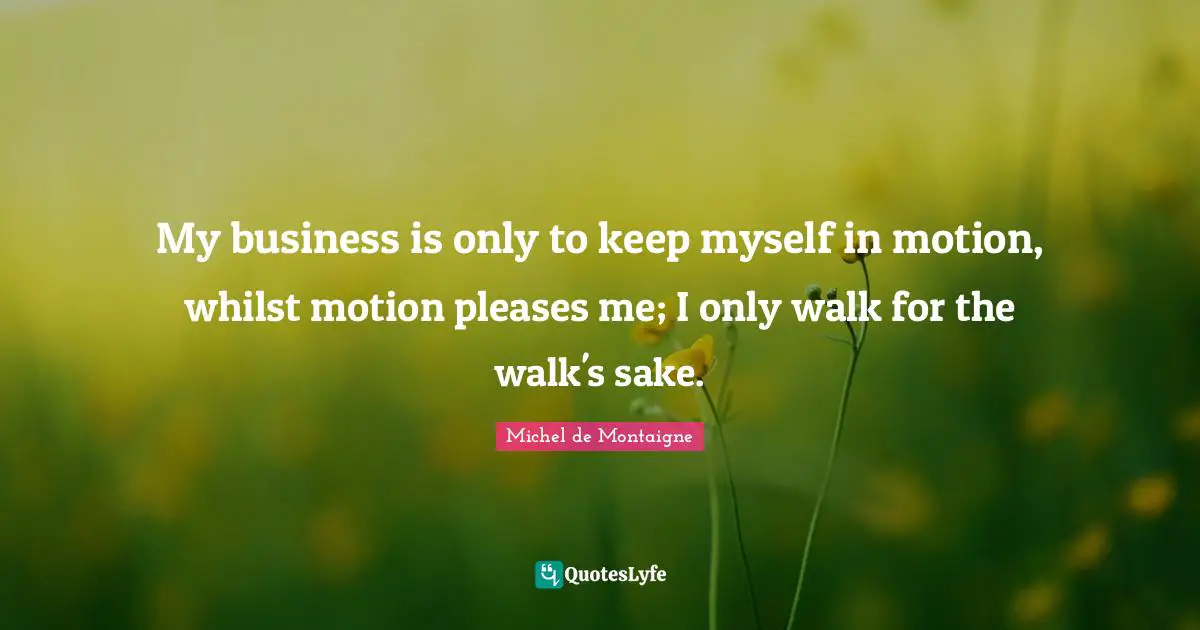 My business is only to keep myself in motion, whilst motion pleases me; I only walk for the walk's sake.