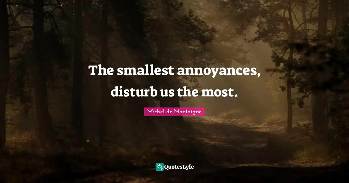 The smallest annoyances, disturb us the most.
