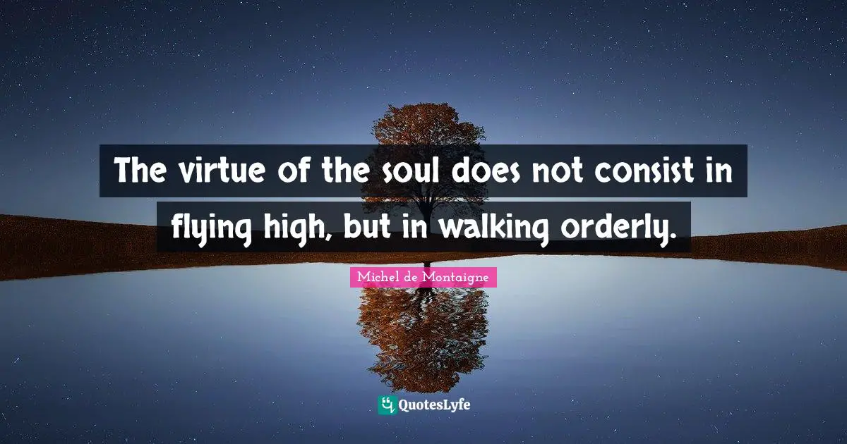 The virtue of the soul does not consist in flying high, but in walking orderly.