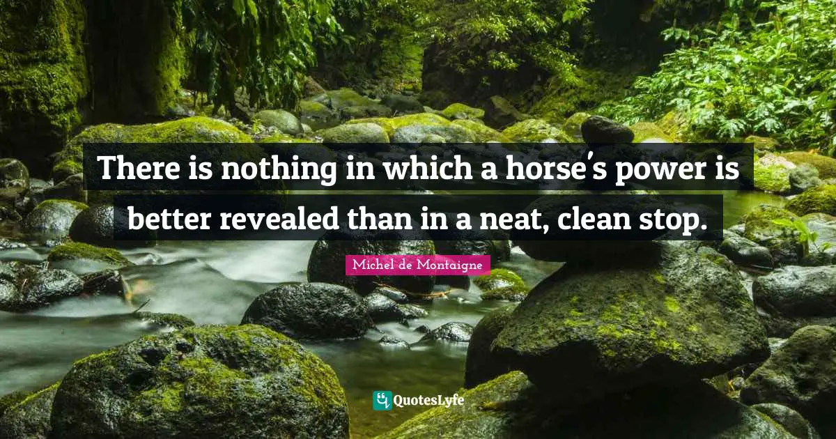 There is nothing in which a horse's power is better revealed than in a neat, clean stop.