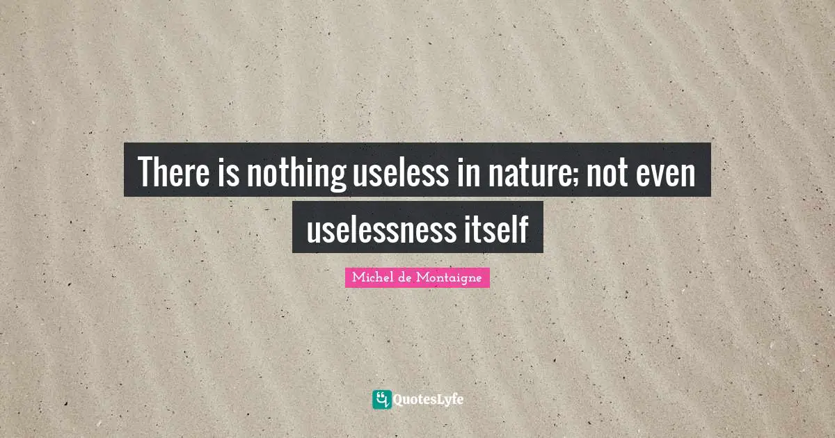 There is nothing useless in nature; not even uselessness itself